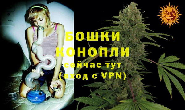 альфа пвп Новодвинск