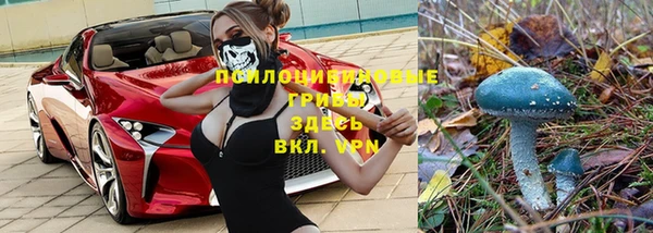 альфа пвп Новодвинск