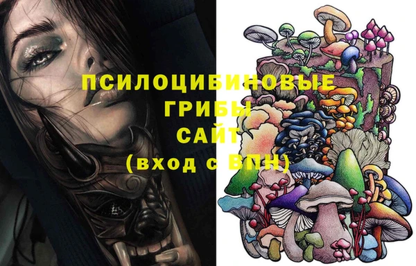 альфа пвп Новодвинск