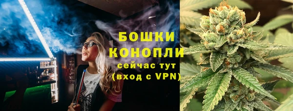 альфа пвп Новодвинск