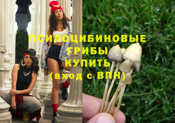 альфа пвп Новодвинск